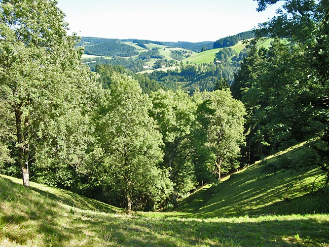 View across the valley