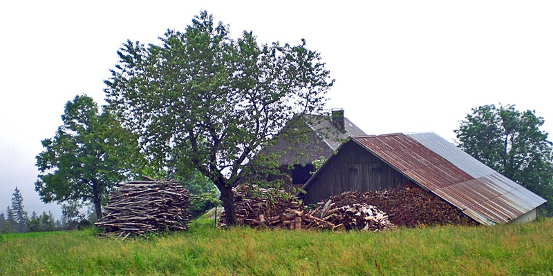 Old woodshed