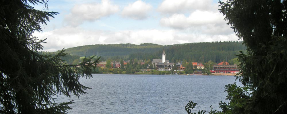 A closer view of the town of Titisee