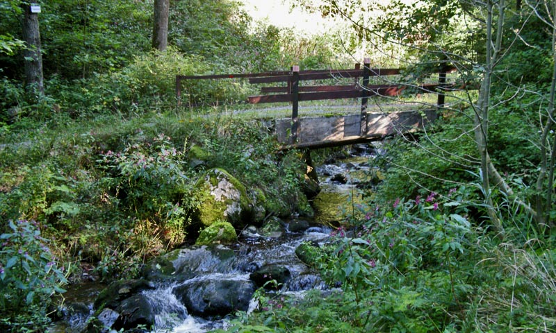 Foot-bridge over the  Löffelbach