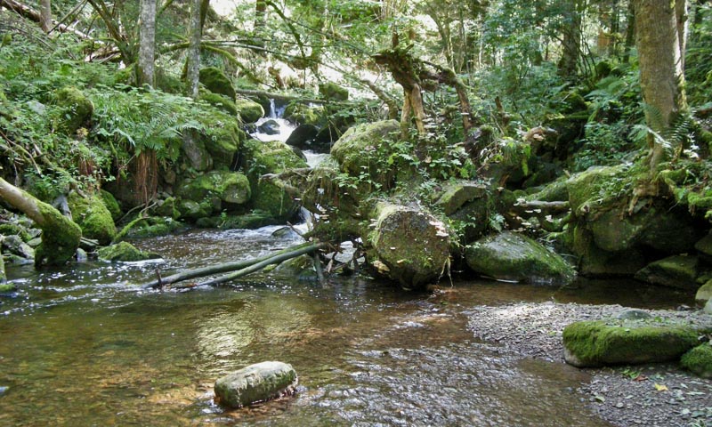 The lower Ravennabach