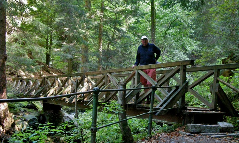 Foot-bridge across the Ravenna