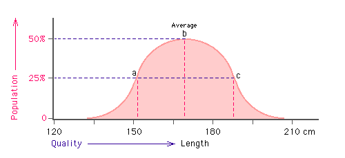 Bell curve 1