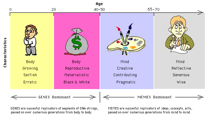 Phases of Life, genes and memes