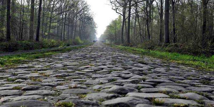 Cobble stones road through the Arenberg Forest (Copyright 2011, Sirotti/cyclingfans.com)