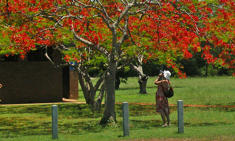 Dania Vrind, filming in Darwin, November 2010
