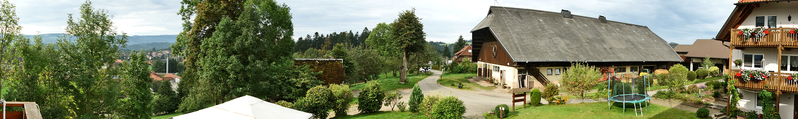 View from the Feldbergblick balcony
