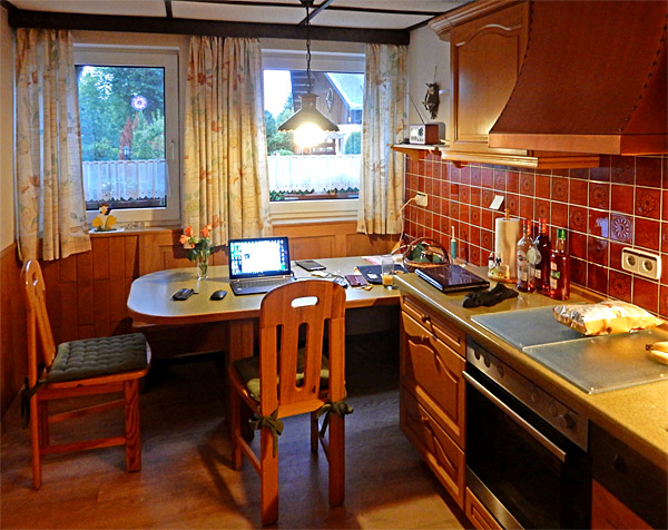 Panoramablick - kitchen