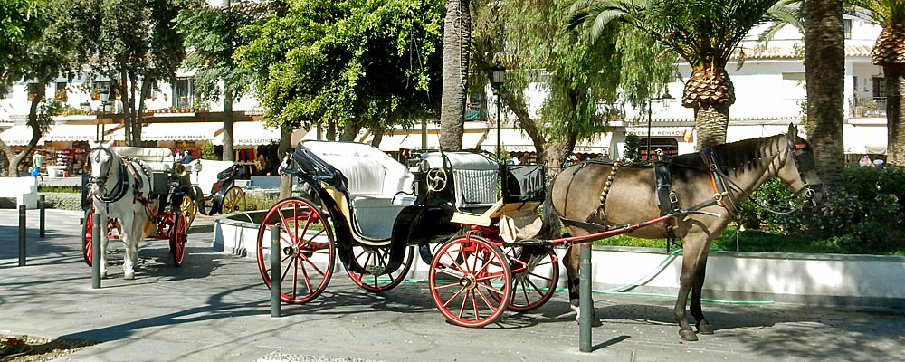 Horse drawn carriages, Mijas