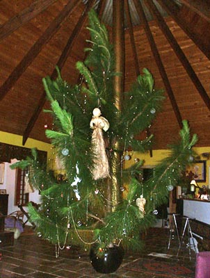 Our Christmas tree in 2004