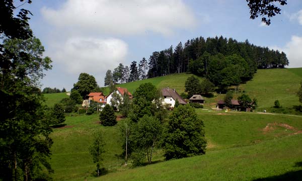 Farm where Wivica lives