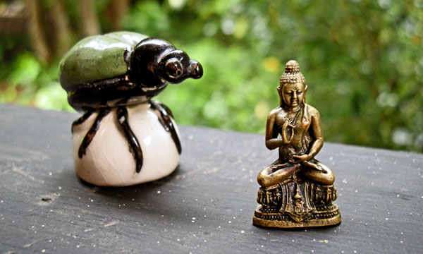 Buddha and Beetle