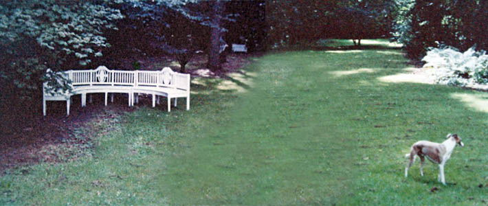 Our lawn at Martinshof