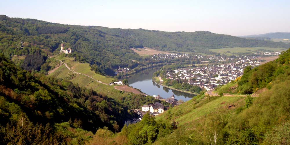 View onto the  Burg, Bernkastel