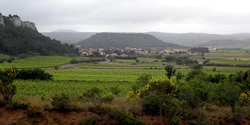 The Provence near Perpignan