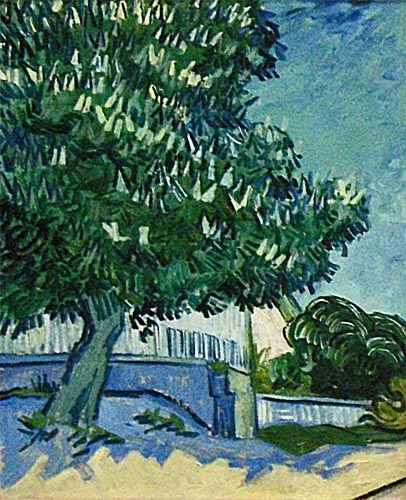 Van Gogh - Kröller Müller Museum 2