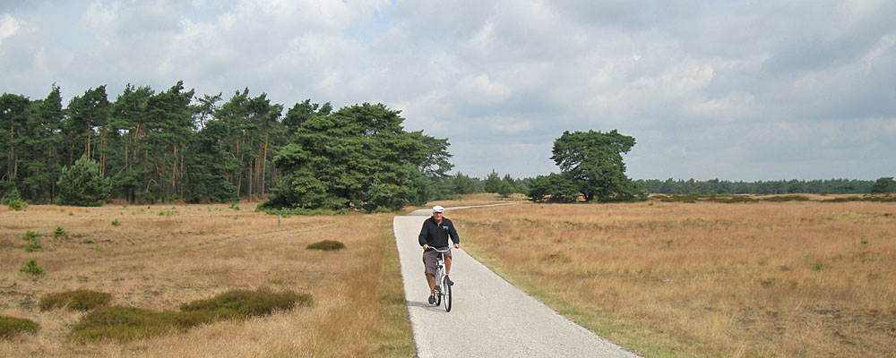  Free 'white bicycles', Hoge Veluwe Park