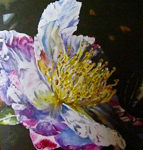 Malveen White : Flower 2