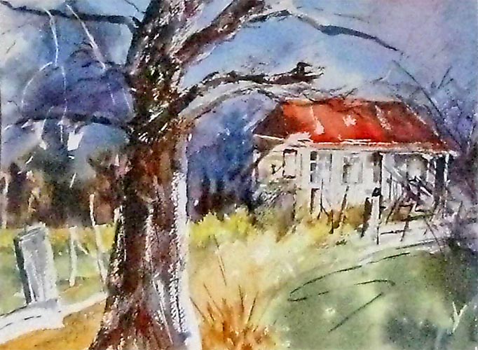House in Tasmania - by Malveen White