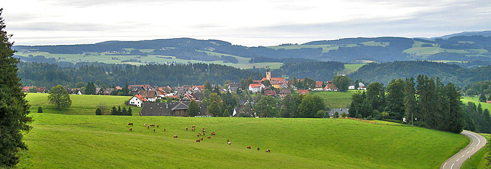 View over Sankt Märgen