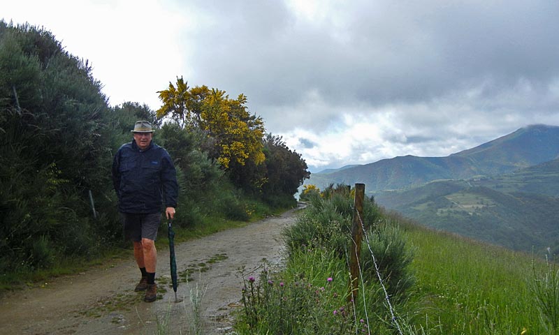 Camino walk : Day 2