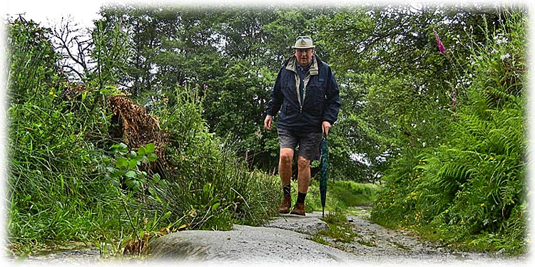 Michael's Camino walk, June 2012